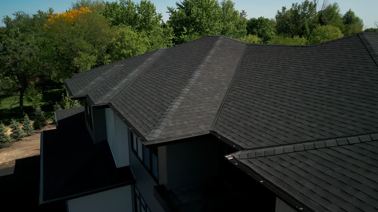 Best Skylight Installation and Repair  in Clovis, NM