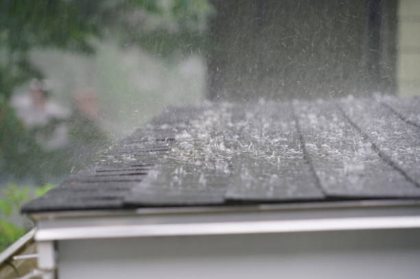 Best Roof Moss and Algae Removal  in Clovis, NM