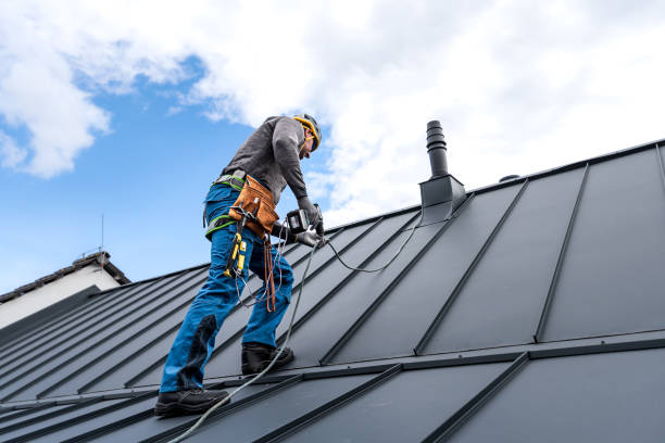 Best Roof Insulation Installation  in Clovis, NM